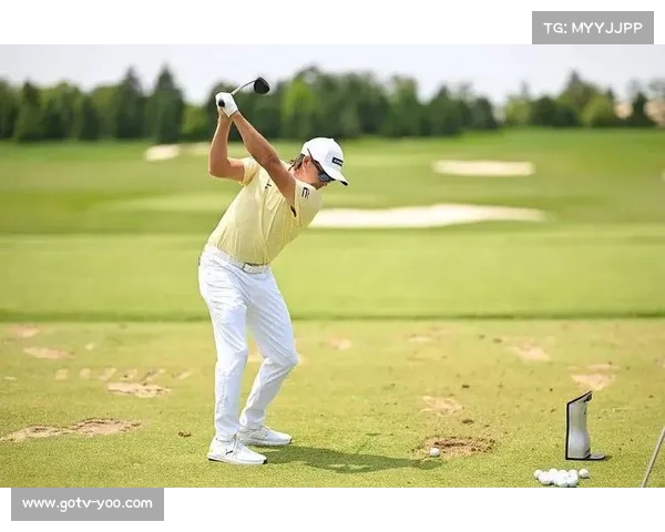 舍弗勒逆转四杆夺舍弗勒宝马锦标赛冠军 赛季第五冠追平伍兹纪录