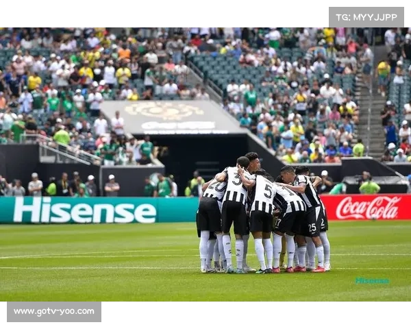 帕尔梅拉斯与弗拉门戈会师利马，南美解放者杯决赛再现巴西内战