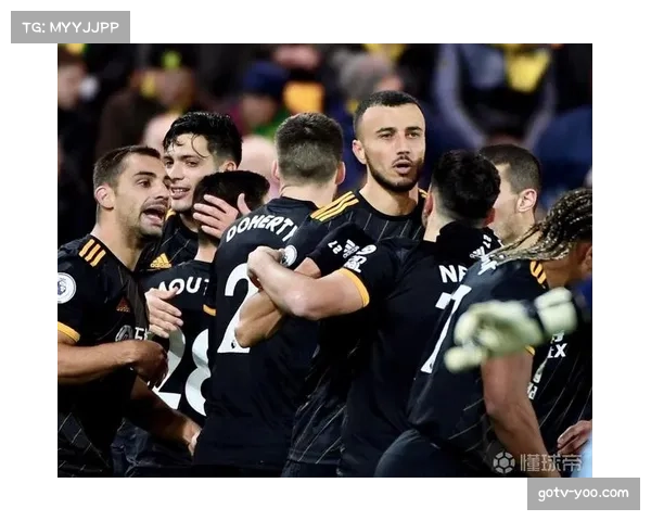 从诺维奇到伯恩利:乔什-萨金特的英超流浪与坚守 从诺维奇到伯恩利:乔什-萨金特的英超流浪与坚守